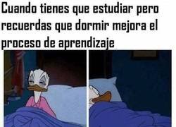 Enlace a Sabiduría máxima