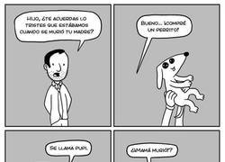 Enlace a Una mala noticia muy inesperada