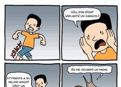 Enlace a Los memes en la vida animal