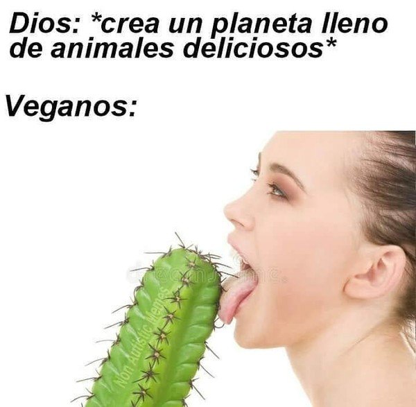 cactus,comida,veganos