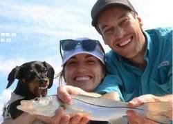 Enlace a Dame el pescado..