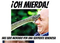 Enlace a Los veganos están perdidos si les muerde una serpiente