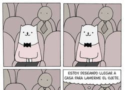 Enlace a Pensando en lo importante en mitad de la función