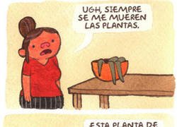 Enlace a Siempre se me mueren las plantas