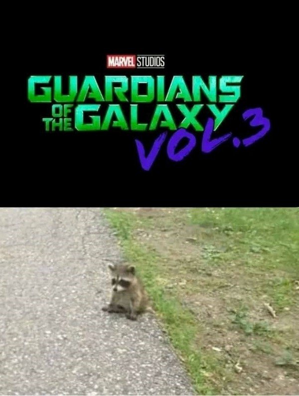 Meme_otros - Avance de la tercera entrega de Guardianes de la Galaxia
