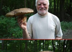 Enlace a Harold se va a recoger setas y su foto se convierte en montajes