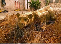 Enlace a Esculturas hechas con arena que te dejarán alucinando