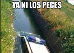 Enlace a Ya ni los peces pueden estar tranquilos...