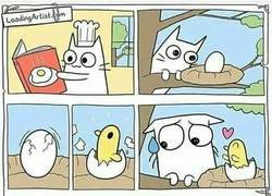 Enlace a Las prioridades de un gato