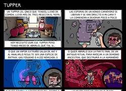 Enlace a El misterio del tupper