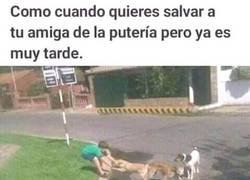 Enlace a Se nos fue de las manos el asunto