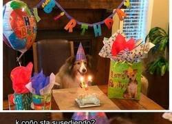 Enlace a Este perro está flipando con la situación