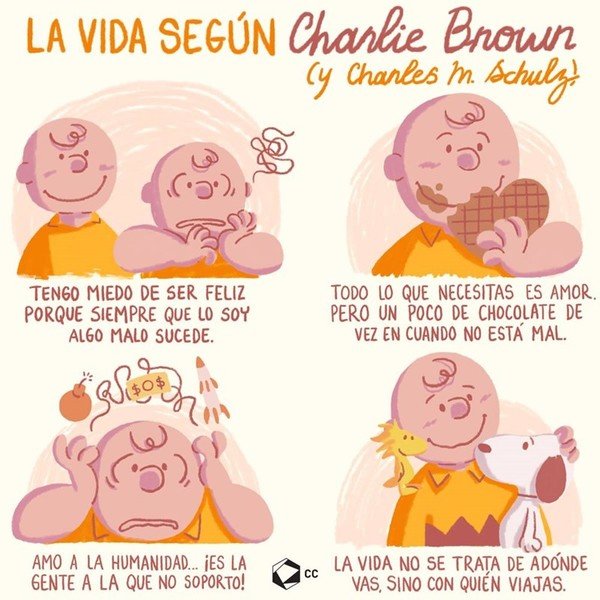Otros - La reflexión perfecta de la vida según Charlie Brown