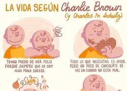 Enlace a La reflexión perfecta de la vida según Charlie Brown