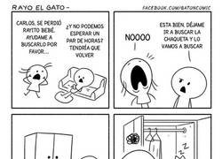 Enlace a Ayudando a encontrar al gato