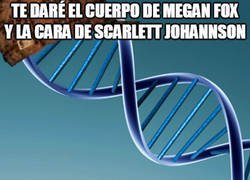 Enlace a Vamos allá con el troleo