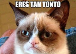 Enlace a El gato se pasó de la raya