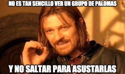 Enlace a Es inevitable esto con las palomas