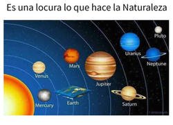 Enlace a Curiosidades sobre la tierra plana