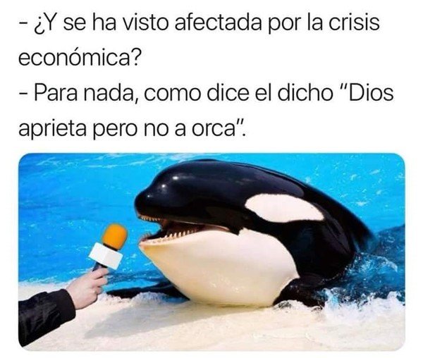 Meme_otros - La crisis de las orcas