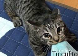 Enlace a La mirada de alguna ilusión