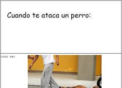 Enlace a Me considero un superviviente