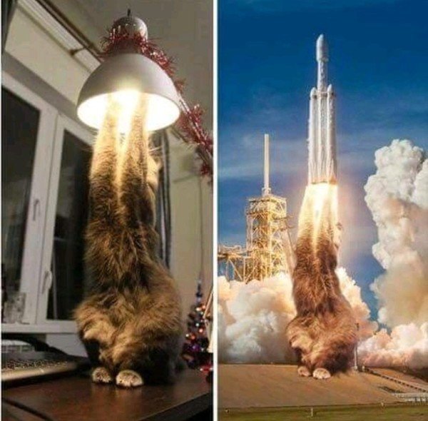 Meme_otros - Un gato toqueteando una lámpara tiene otro parecido
