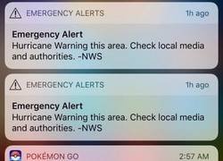 Enlace a A mal tiempo buena cara