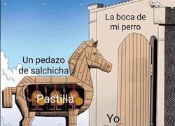 Enlace a El secreto para engañar a tu perro