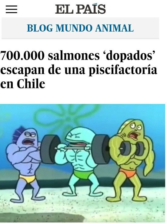 Meme_otros - ¿Qué está pasando en Chile?