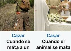 Enlace a La diferencia entre cazar y casar