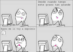 Enlace a ¡¡¡Maldito grano!!!