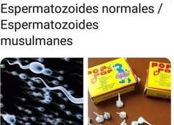 Enlace a Se diferencian claramente