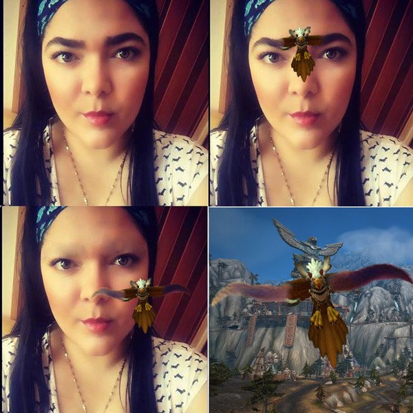 Meme_otros - Cejas volando En Monte Alto (World of Warcraft)