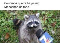 Enlace a Su vida es una desgracia