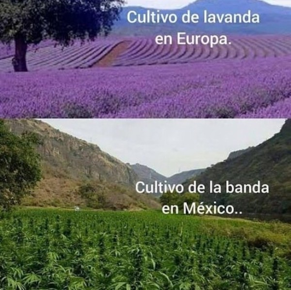 Meme_otros - México es especial