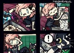 Enlace a Los gatos siempre haciéndonos daño cuando todo se lo hacemos con cariño