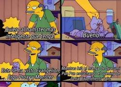 Enlace a Comprando un hamster