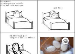 Enlace a Frío en la noche