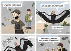 Enlace a Un magnífico ejemplar