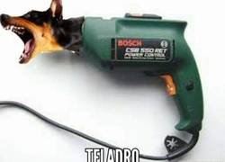 Enlace a Teladro, chistaco del día, Ya me voy