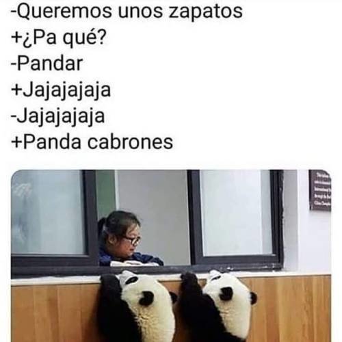 bromas,humor,panda