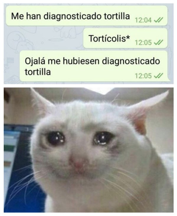 diagnostico,torticulis,tortilla