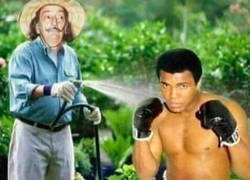 Enlace a Chistaco malo del día: ¿Lo adivinas?