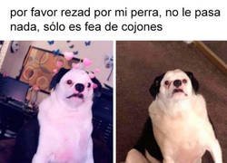 Enlace a Con unos filtros de Snapchat gana mucho