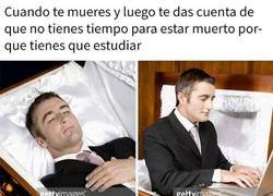 Enlace a Las prioridades en la vida son claras