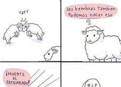 Enlace a Haciéndose respetar en otras especies