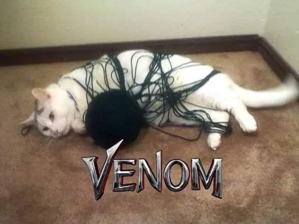 Meme_otros - Que buena se ve la nueva de Venom
