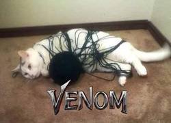Enlace a Que buena se ve la nueva de Venom