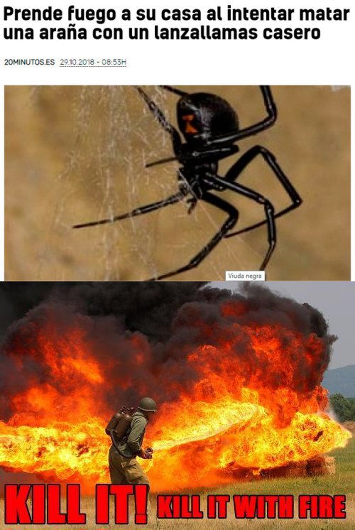 Meme_otros - Se tomó en serio lo de matar arañas con fuego